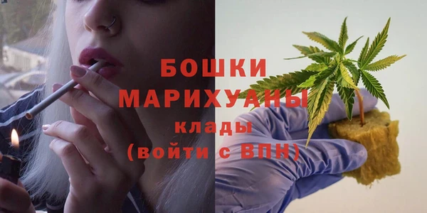 шишки Пестово