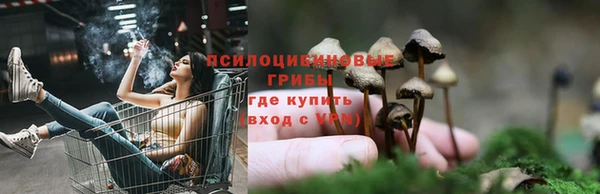 соль ск Дедовск