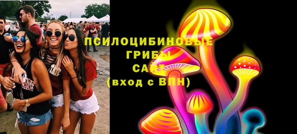 ешки Переславль-Залесский