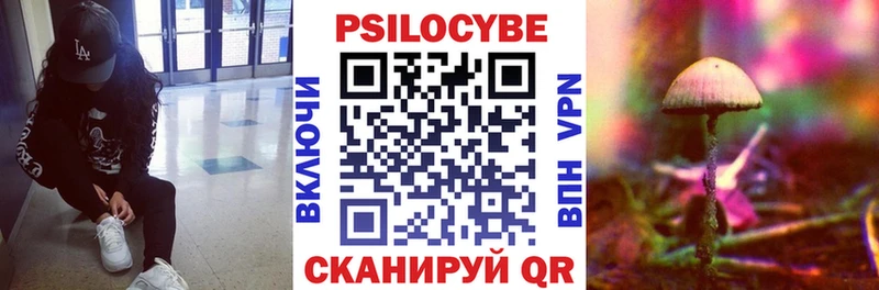 МЕГА tor  где купить наркоту  Луховицы  Галлюциногенные грибы MAGIC MUSHROOMS 