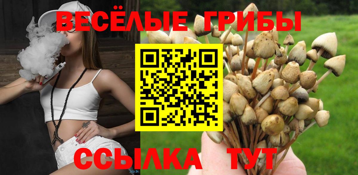 Луховицы  Галлюциногенные грибы мухоморы  цены наркотик  Вход с VPN 