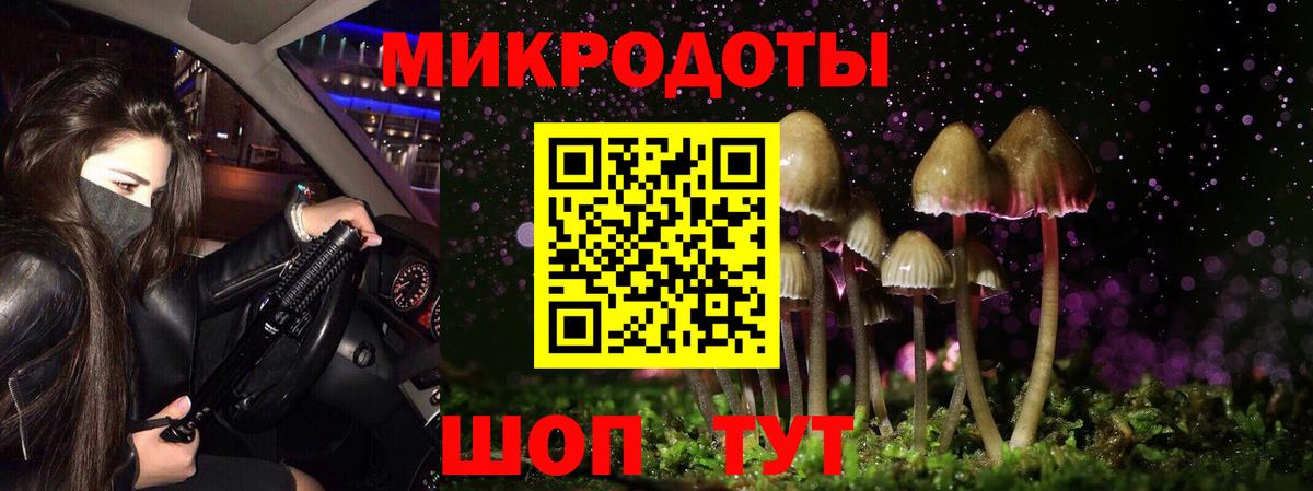 Псилоцибиновые грибы Psilocybine cubensis Луховицы