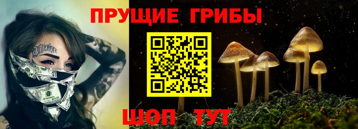 Псилоцибиновые грибы GOLDEN TEACHER Луховицы
