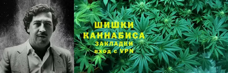 Бошки Шишки THC 21%  Луховицы 